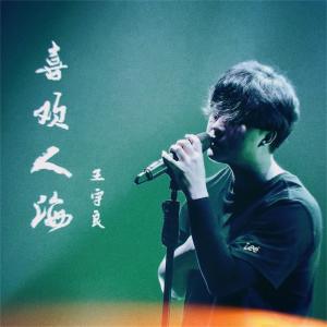 Listen to 喜欢人海 (伴奏) song with lyrics from 王宇良