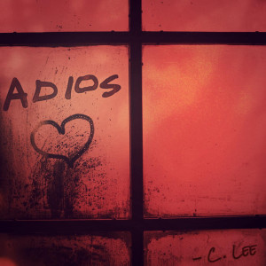 Album Adios from chris Lee