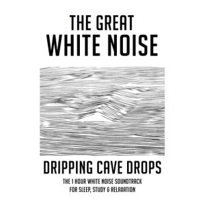 ดาวน์โหลดและฟังเพลง Dripping Cave Drops: The 1 Hour White Noise Soundtrack for Sleep, Study & Relaxation พร้อมเนื้อเพลงจาก The Great White Noise