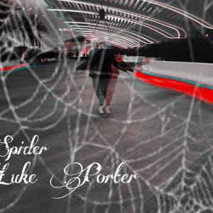 收聽Luke Porter的Spider歌詞歌曲