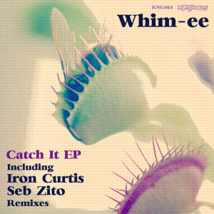 ดาวน์โหลดและฟังเพลง This Is What You Want (Seb Zito's Js Mix) พร้อมเนื้อเพลงจาก Whim-ee