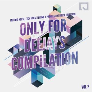 Various Artists的專輯Only for Deejays Compilation, Vol. 2