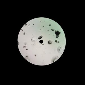 Dengarkan lagu Synesthesia nyanyian Subtil dengan lirik