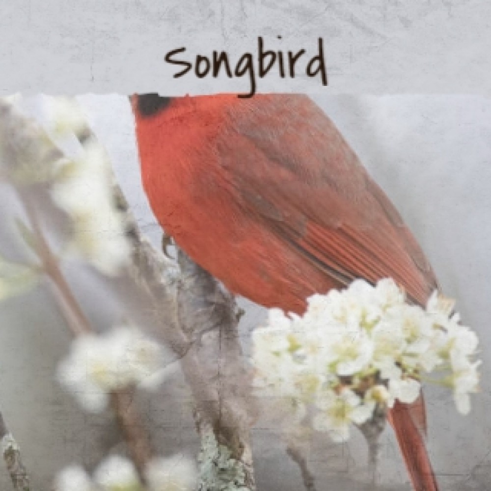 Songbird