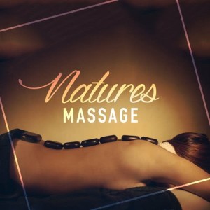 ดาวน์โหลดและฟังเพลง Morning Bird Hide พร้อมเนื้อเพลงจาก Natural Massage