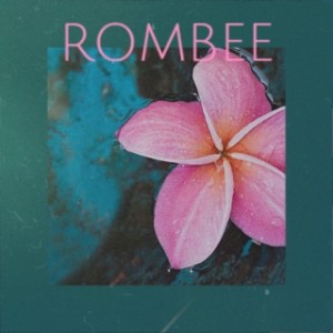 Listen to This Place (Radio Mix) song with lyrics from Dumbstruke