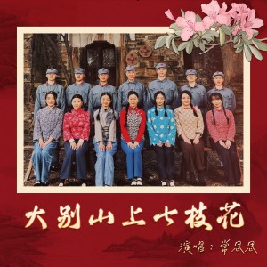 Album 大别山上七枝花 from 常思思