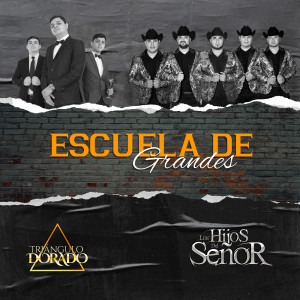 ดาวน์โหลดและฟังเพลง Escuela De Grandes พร้อมเนื้อเพลงจาก Triangulo Dorado