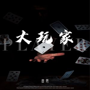Album 大玩家 oleh 廖勇