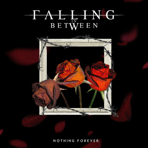 Listen to Nothing Forever song with lyrics from FALLING IN BETWEEN