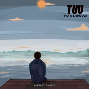 Listen to Tuu song with lyrics from PRA-B
