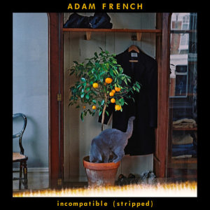 收聽Adam French的Incompatible (Stripped)歌詞歌曲