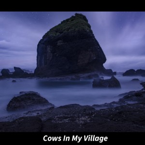 Cows in My Village