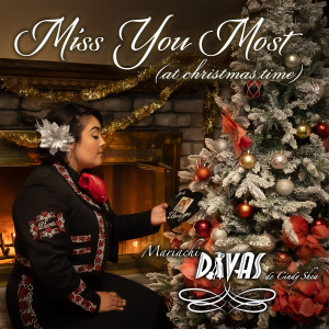 Mariachi Divas De Cindy Shea的專輯Miss You Most (At Christmas Time)