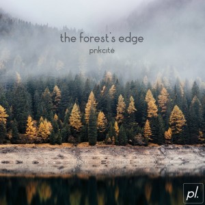 Listen to willowed forest song with lyrics from pnkcité