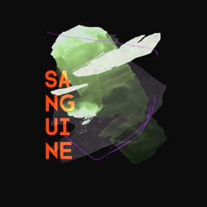 Album DARK ARTS from Sanguine