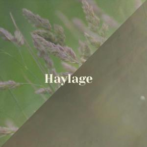 Listen to Haylage song with lyrics from Cames Noek