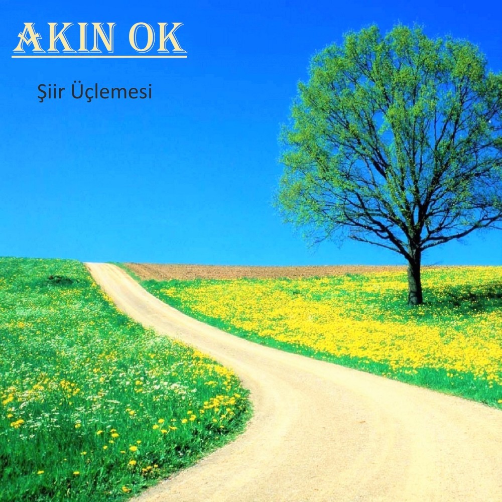 Akın Ok Şiirleri