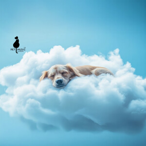 Album 432Hz Lullabies for Dogs from 