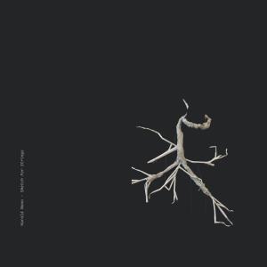 Album Sketch For Strings from Harold Nono