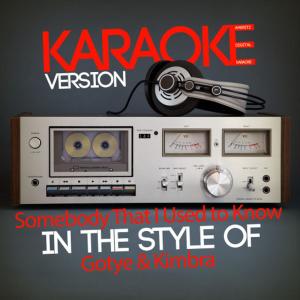 ดาวน์โหลดและฟังเพลง Somebody That I Used to Know (In the Style of Gotye & Kimbra) (Karaoke Version) พร้อมเนื้อเพลงจาก Ameritz Digital Karaoke