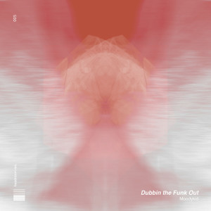 Album Dubbin the Funk Out from Moodykid