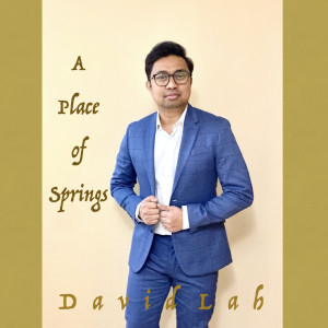 Dengarkan lagu A Place of Springs nyanyian David Lah dengan lirik