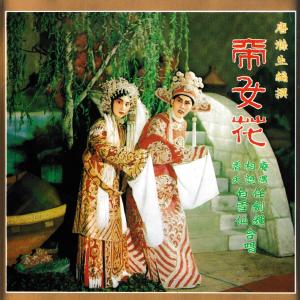 收聽任劍輝的庵遇歌詞歌曲