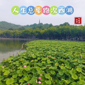 收聽鄭俊海的《人生總要跑次西湖》男獨版 (完整版)歌詞歌曲