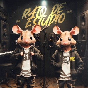 ดาวน์โหลดและฟังเพลง Rato de Estudio พร้อมเนื้อเพลงจาก Bragi