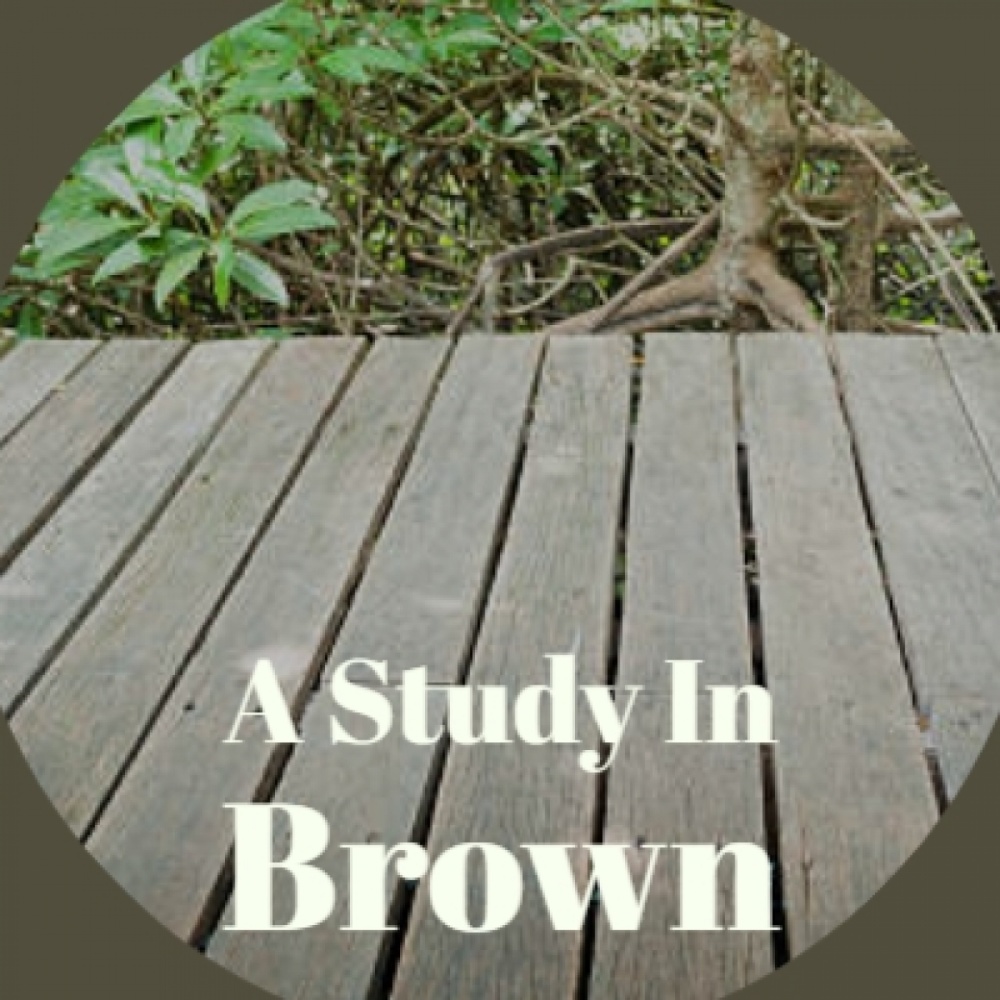 A Study in Brown