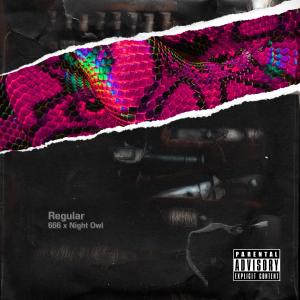Album Regular (Explicit) from 666 Gxng