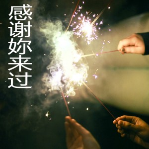 收聽張紹飛的媽媽來我夢裏吧歌詞歌曲