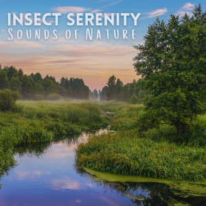 อัลบัม Insect Serenity: Sounds of Nature ศิลปิน Nature Sound Series