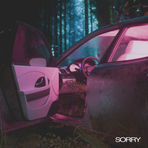 Album Sorry (Explicit) from Inspectahflow