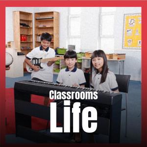 Listen to Classrooms Life song with lyrics from Marny