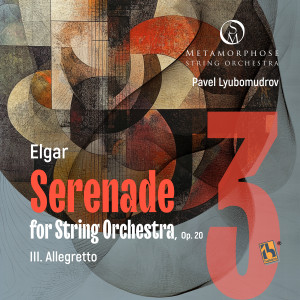 Listen to No. 3, Allegretto song with lyrics from Metamorphose String Orchestra