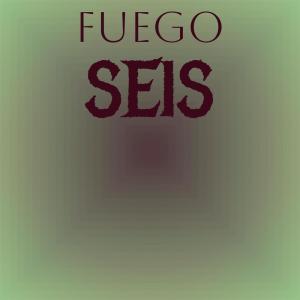 Various Artists的專輯Fuego Seis