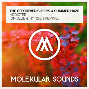 Dengarkan Addicted (NyTiGen Extended Mix) lagu dari The City Never Sleeps dengan lirik