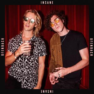 ดาวน์โหลดและฟังเพลง Insane พร้อมเนื้อเพลงจาก Ofenbach