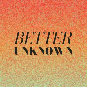 Various Artists的專輯Better Unknown