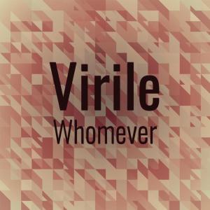 Various Artists的專輯Virile Whomever