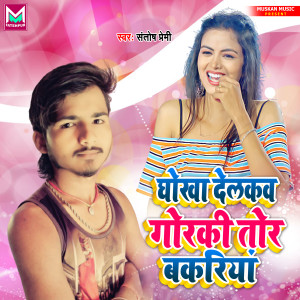 Album Dhokha Delkav Gorki Tor Bakariya from santosh premi