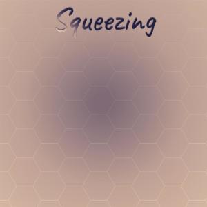 Various Artists的專輯Squeezing