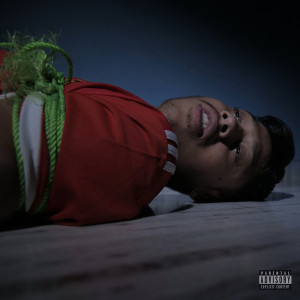 Album DND (Explicit) from 