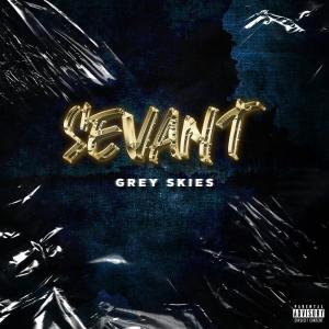 Sevant的專輯Grey Skies (Explicit)