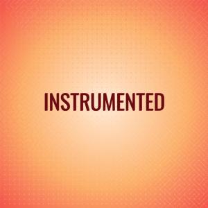 Various Artists的專輯Instrumented