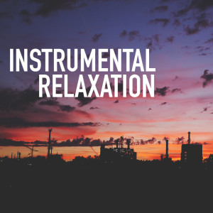 Dengarkan The Wind Beneath My Wings lagu dari Royal Philharmonic Orchestra dengan lirik