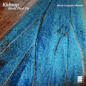 Album Birds That Fly (Rival Consoles Remix) oleh Kidnap Kid