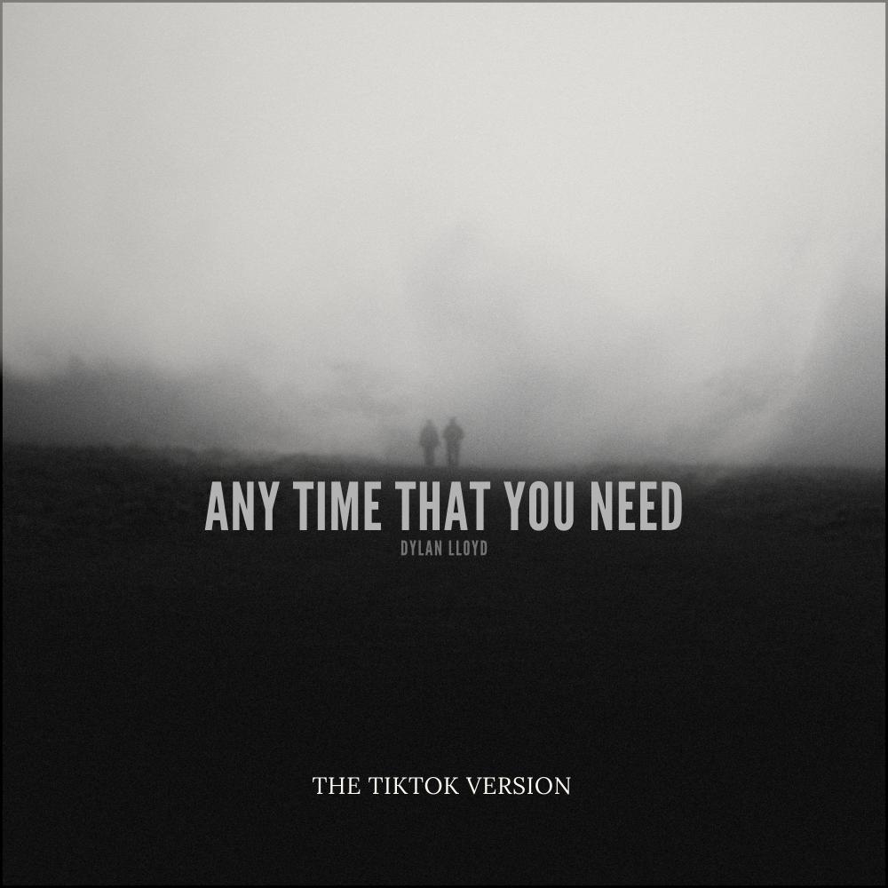 Any Time That You Need (TikTok Version)